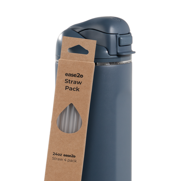 Ease2o Straws 4 Pack 24oz C3